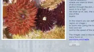 XOT - Morph Images