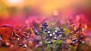 Swartz Et - Yours Mine Ours [HD]