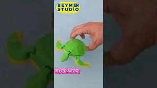 Kaplumbağa Hareketli Beymer studio