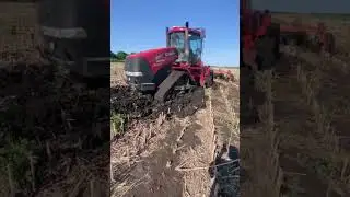Tractor Case in mud #tractor #mud #case #offroad #drawing