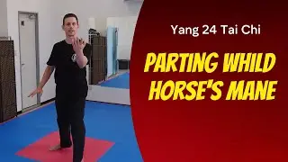Yang 24 Part Two Parting the Wild Horses Mane