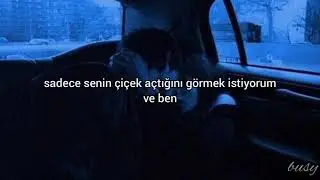 willow-naive (türkçe çeviri)