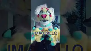 Who am I? I’m Apollo! 