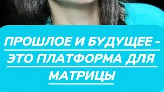 ПРОГРАММА ПРОШЛОГО И БУДУЩЕГО. КАК МЫ СТРОИМ ПЛАТФОРМУ ДЛЯ МАТРИЦЫ.