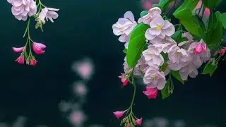 Готовая работа и покупочки.
