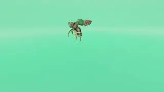Bee Flying animation in blender