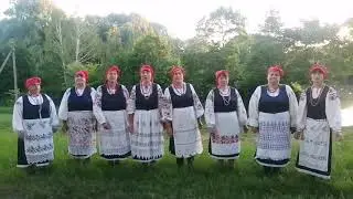 Народный фольклорный коллектив «Калинушка» - «По улице шла», с. Старый Кривец