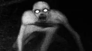 SCHOCKING Footage Of A Creepy Creature Spotted In California