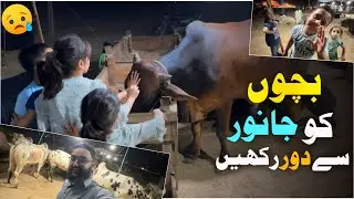 Bakra mandi jhelum | Bohat Late ho gaye wapsi pr | Bacha party na bohat enjoy kiya