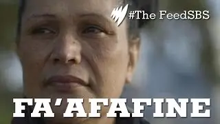 Fa'afafine: Samoan Boys Raised As Girls