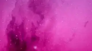 Pink Floyd - Comfortably Numb (Max Raymond Remix)