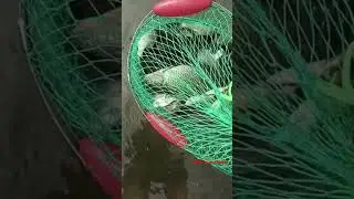 Как вам такая рыбалка??? #fishing #ловля #рыбалка
