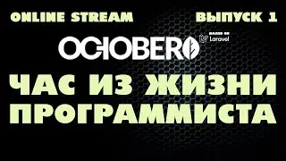 Час из жизни программиста. Выпуск № 1.
