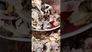 full goat head Full VIDEO Watching WMC Channel