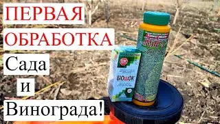 ПЕРВАЯ ОБРАБОТКА Сада и Винограда! Обработка по ГОЛОЙ ПОЧКЕ