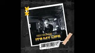 BON JOVI - IT'S MY LIFE (THNDERZ RAVETOK REMIX) 