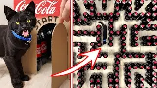 Pet Panther vs Giant Coca-Cola Maze