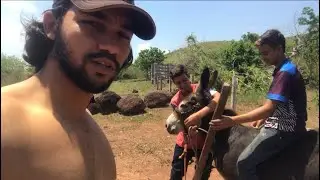 Olha oque eles fizeram