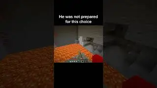 Minecraft Choice Moment