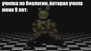 Спрингтрап флексит