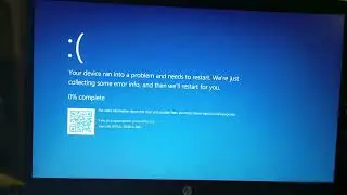Lisa Screaming Has BSOD