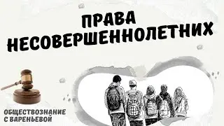 Права несовершеннолетних. Обществознание. Модуль ПРАВО