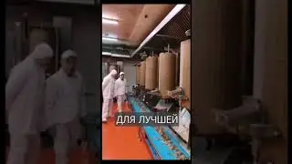 Шаурма роботы