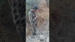 Caza de pato con pisponera(1)