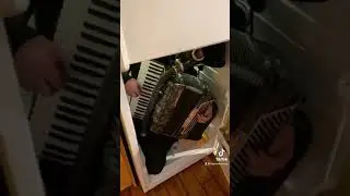 Fridge Creature 
