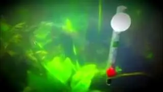 Planted Tank Update PART 5 - Shrimp Tank (Aquarium007)