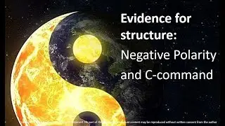 ling2 lecture 3 - Negative Polarity Items and C-command
