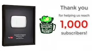 1000 subscribers celebration! Thank you for all your support!