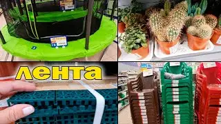 Магазин Лента.Отличные летние товары.Цветы, батуты товары для сада