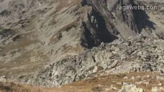 Retezat, Gentiana, Lake Bucura