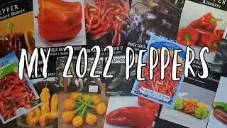It's PEPPER Time! My Pepper Picks for 2022 | Homestead Dreaming