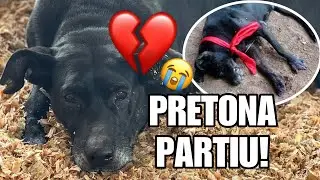 DESPEDIDA DA PRETONA! A CADELA MAIS GAÚCHA DO RIO GRANDE!