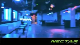 Nectar Lounge- Visual Sample