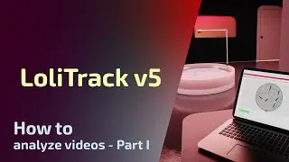 LoliTrack v5 - 2D Tracking - How to analyze videos - Part I