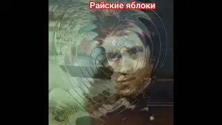 Владимир Высоцкий. Райские яблоки.