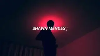 Shawn Mendes Understand subtitulada al español