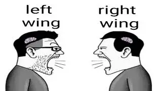 left wing right wing