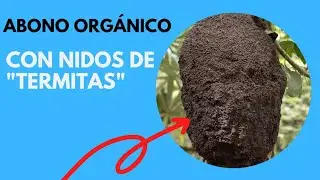 ABONO ORGÁNICO de las TERMITAS [GRATIS]