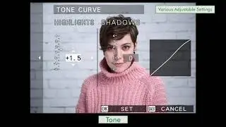 Fujifilm X S10 Film Simulations