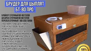 Брудер для цыплят 80шт: Как достичь идеальных условий!