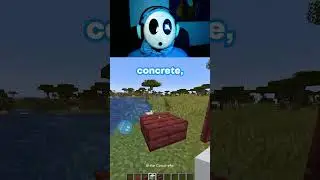 Making Among Us In Minecraft (Mangrove)