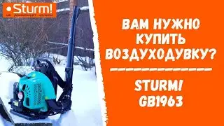 Вам нужно купить воздуходувку? Sturm! GB1963
