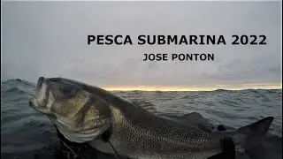 Pesca submarina 2022 - Jose Pontón - Dentones, Dorada y Lubinas