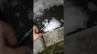 Major ssyt