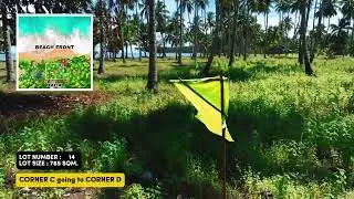785 sqm Palawan Beach lot for sale - Palm Shore Gold LOT 14