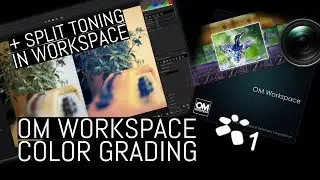 OM Workspace: Color Grading